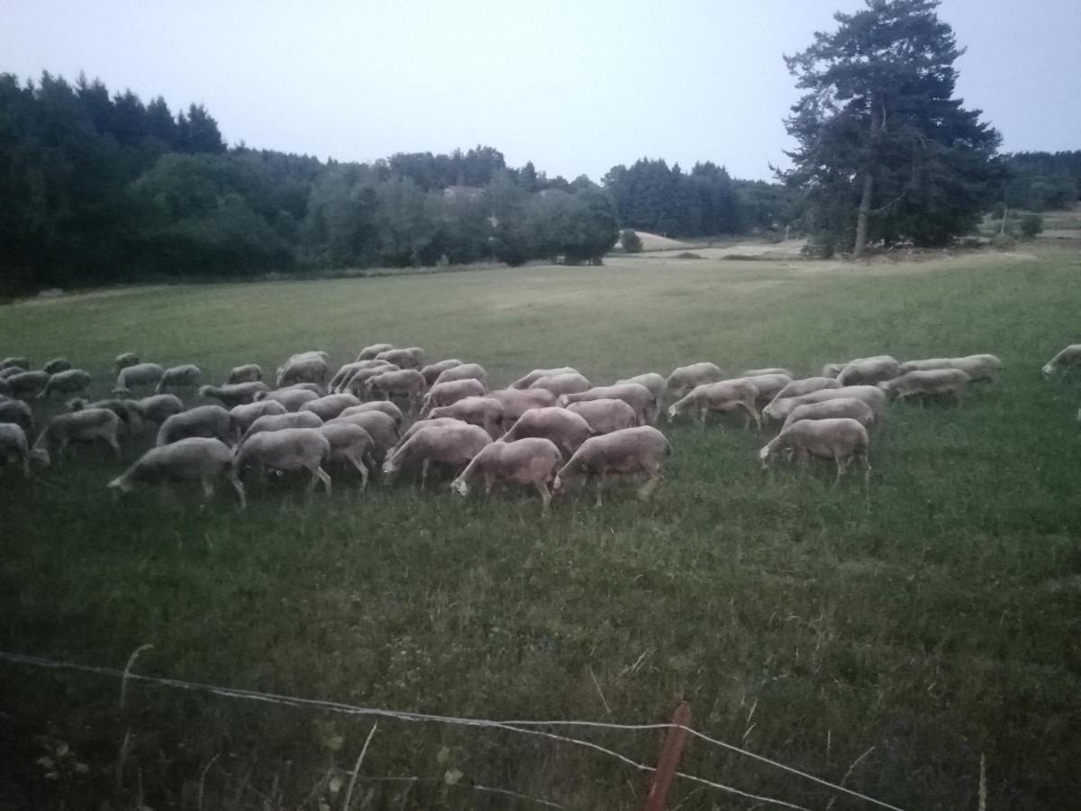 Monistrol-sur-Loire Chez Sophie Et Gilles B&B 외부 사진